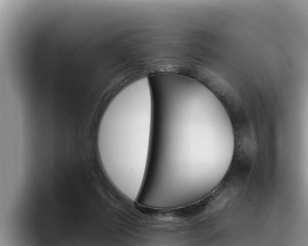 X0000096220262200801181035