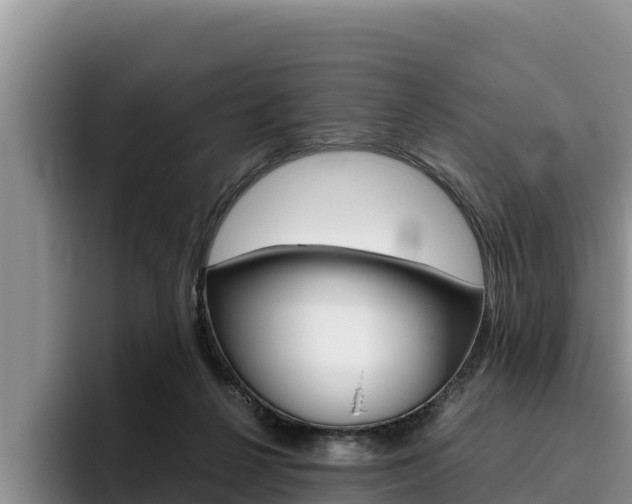 X0000096220264200801181035
