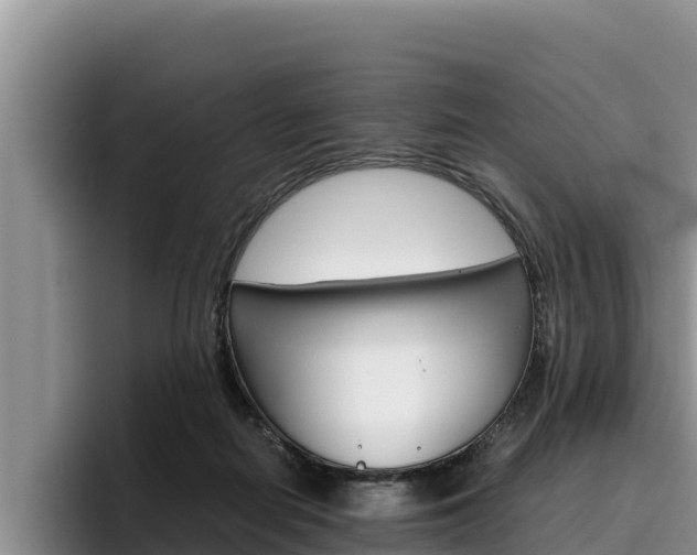 X0000096220266200801181035