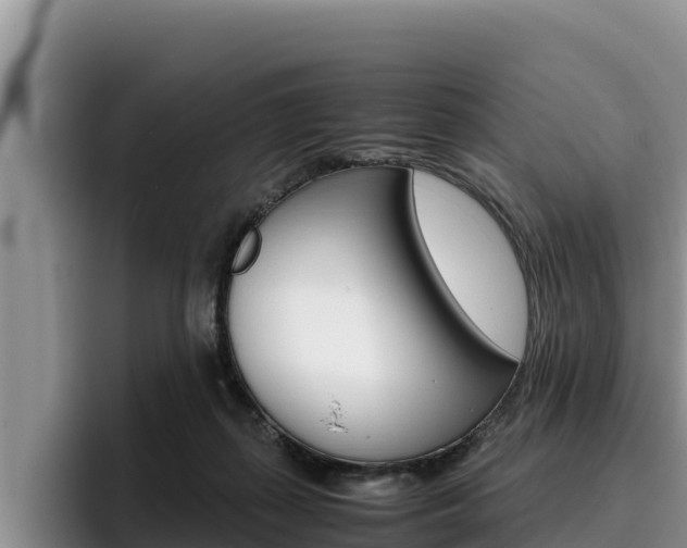 X0000096220267200801181035