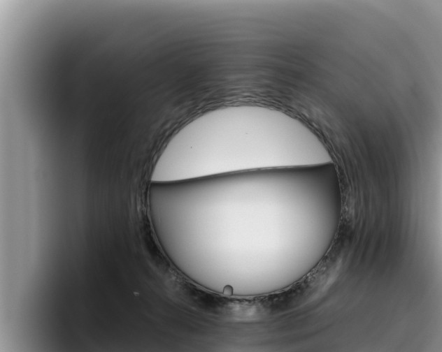 X0000096220272200801181035