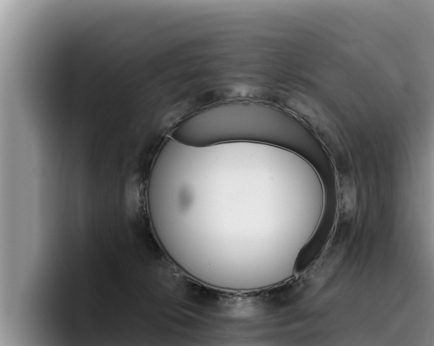 X0000096220276200801181035