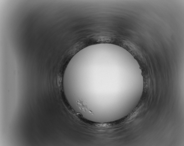 X0000096220281200801181035