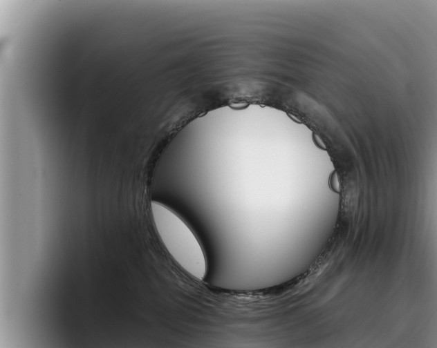 X0000096220282200801181035
