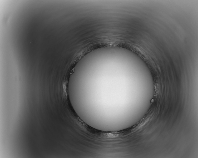 X0000096220286200801181035