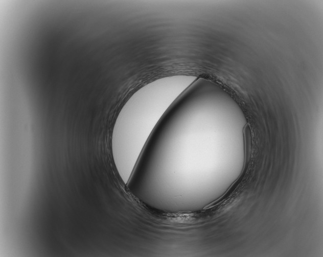 X0000096220288200801181035