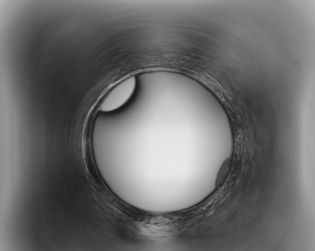 X0000096220290200801181035