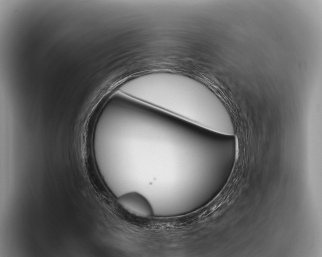 X0000096220291200801181035