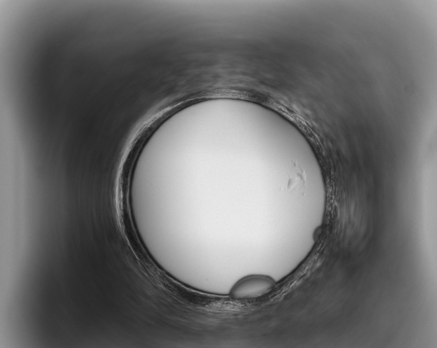 X0000096220294200801181035
