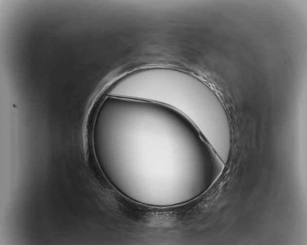 X0000096220296200801181035