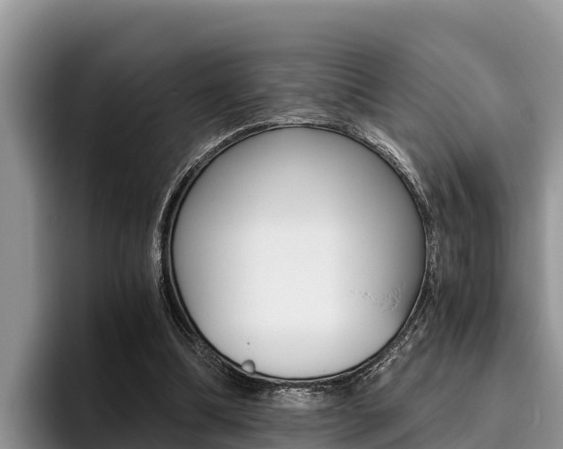 X0000096220298200801181035