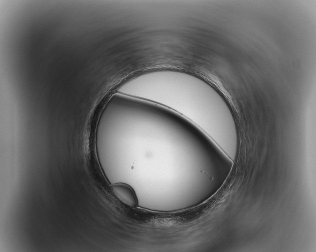 X0000096220299200801181035