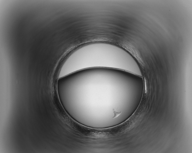 X0000096220300200801181035