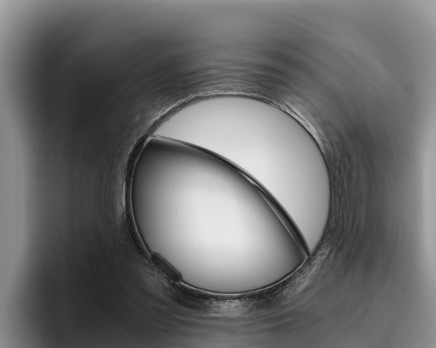 X0000096220301200801181035