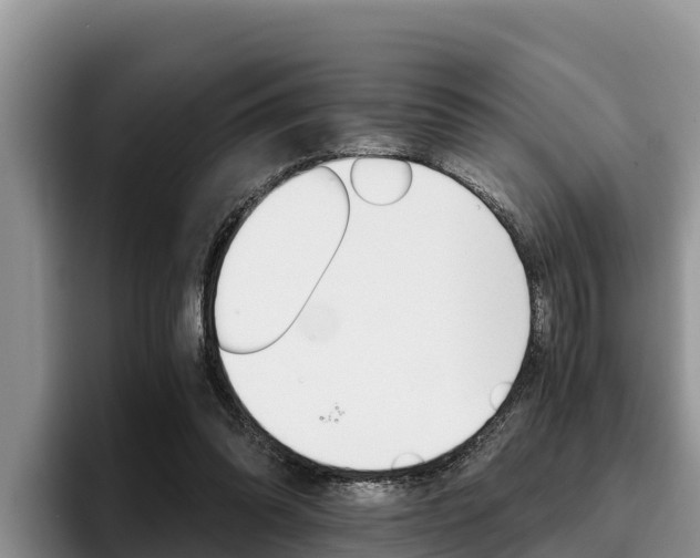 X0000096220302200801181035