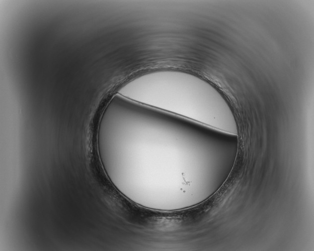 X0000096220303200801181035