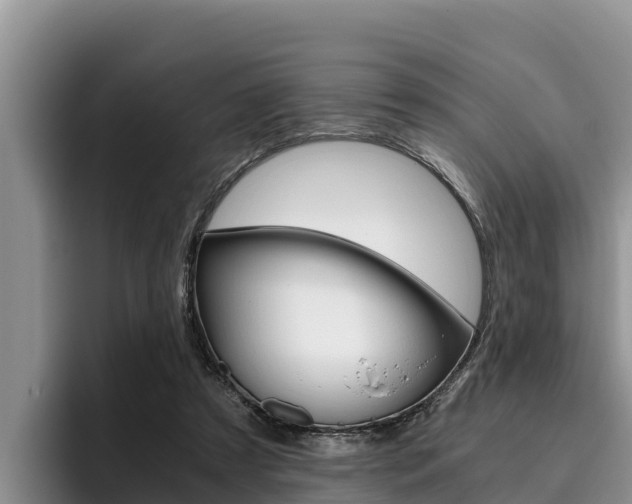 X0000096220305200801181035