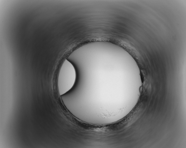X0000096220306200801181035