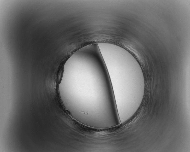 X0000096220309200801181035