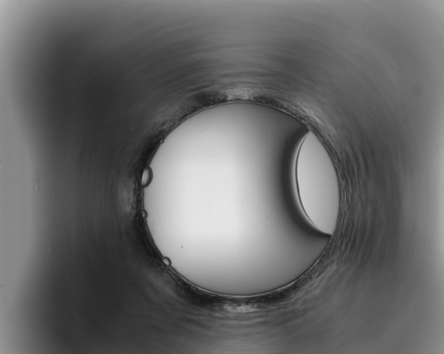 X0000096220311200801181035
