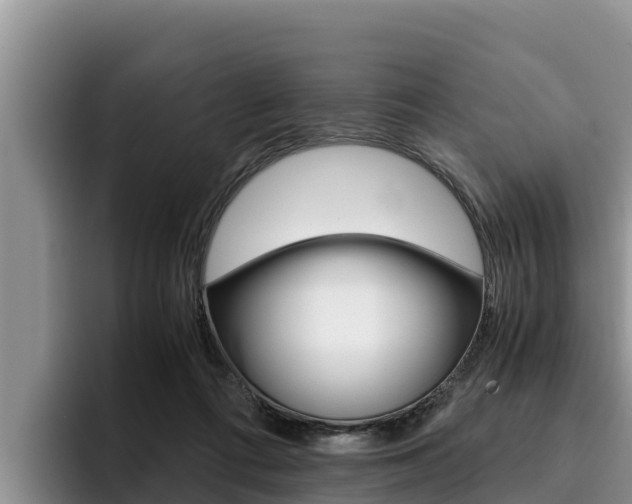 X0000096220312200801181035