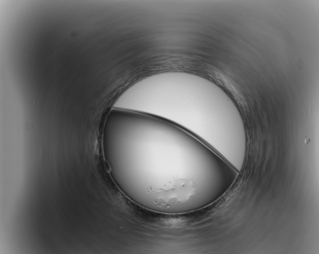 X0000096220313200801181034