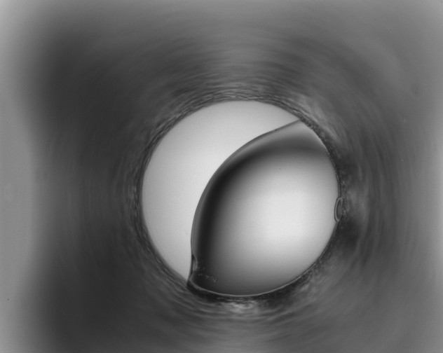 X0000096220317200801181034