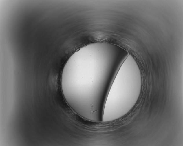 X0000096220319200801181034