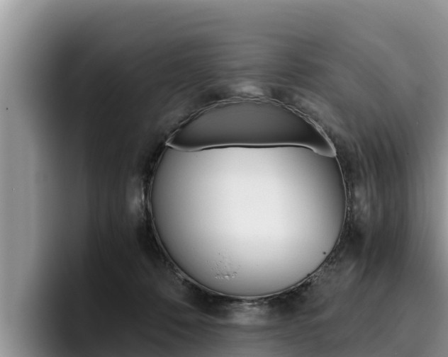 X0000096220320200801181034