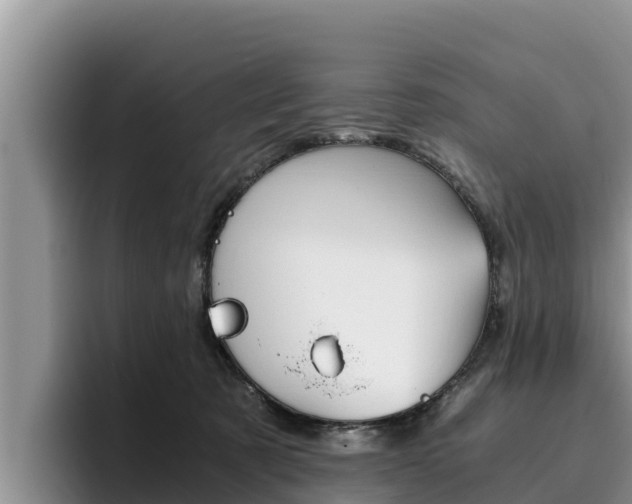 X0000096220321200801181034