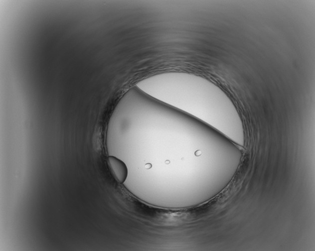 X0000096220323200801181034