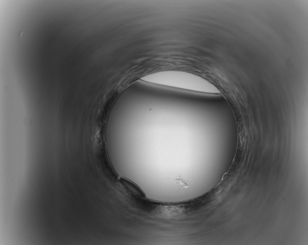 X0000096220327200801181034