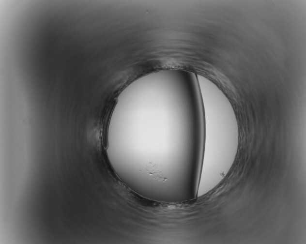 X0000096220329200801181034