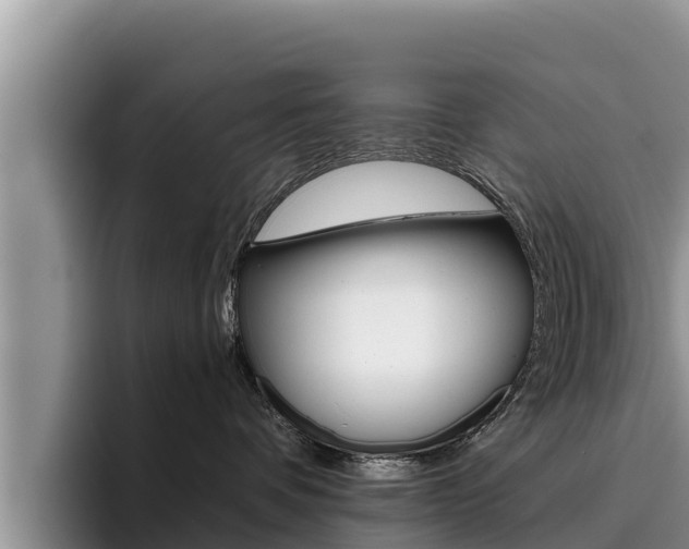X0000096220336200801181034