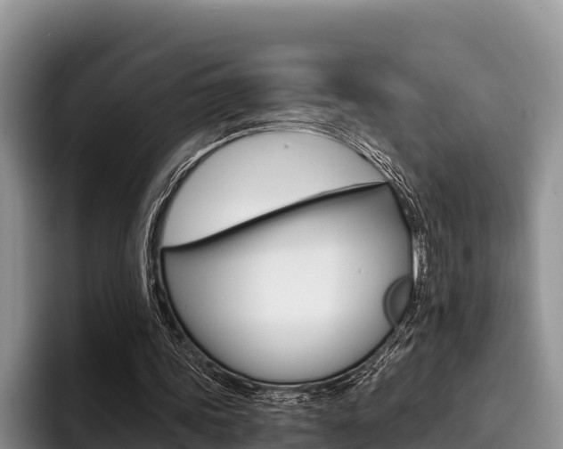 X0000096220339200801181034