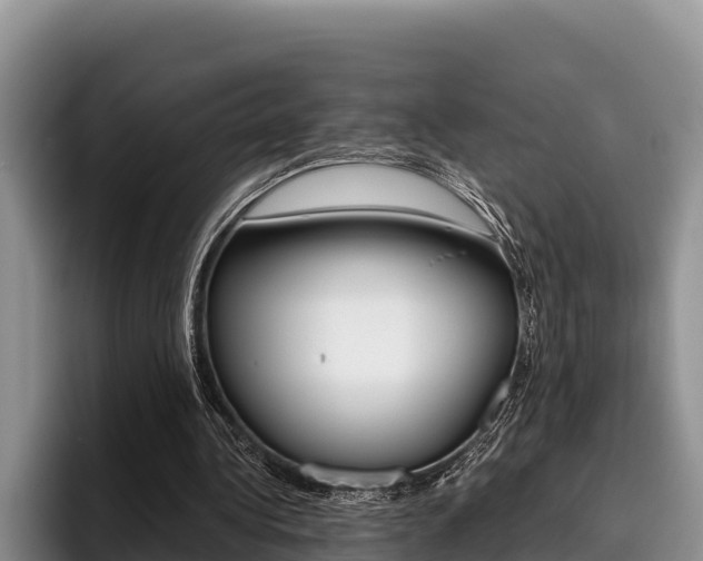 X0000096220340200801181034
