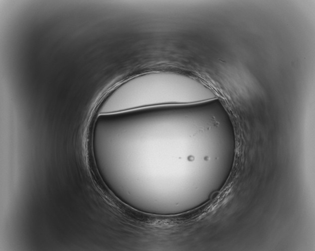 X0000096220341200801181034
