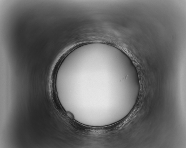 X0000096220342200801181034