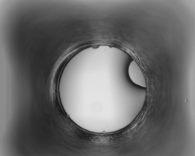 X0000096220343200801181034
