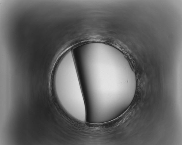 X0000096220344200801181034