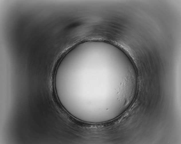 X0000096220345200801181034