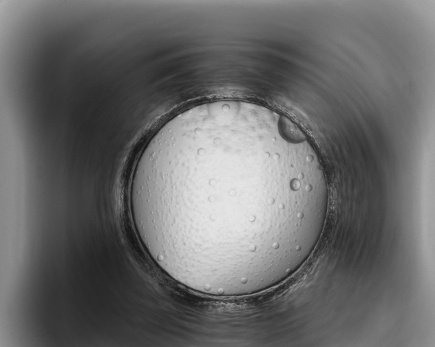 X0000096220347200801181034