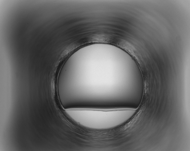 X0000096220349200801181034