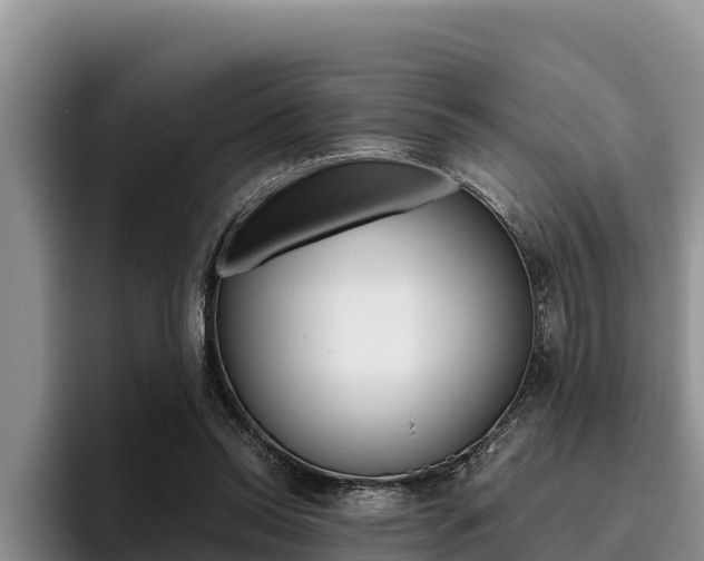 X0000096220350200801181034