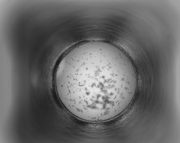 X0000096220351200801181034