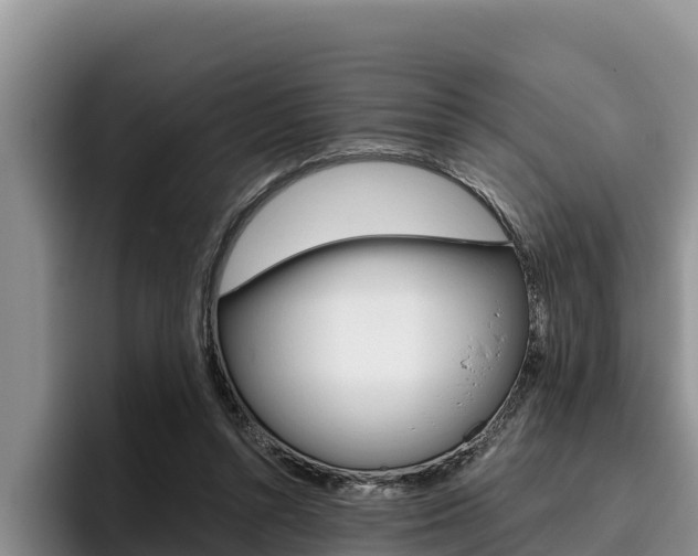 X0000096220352200801181034