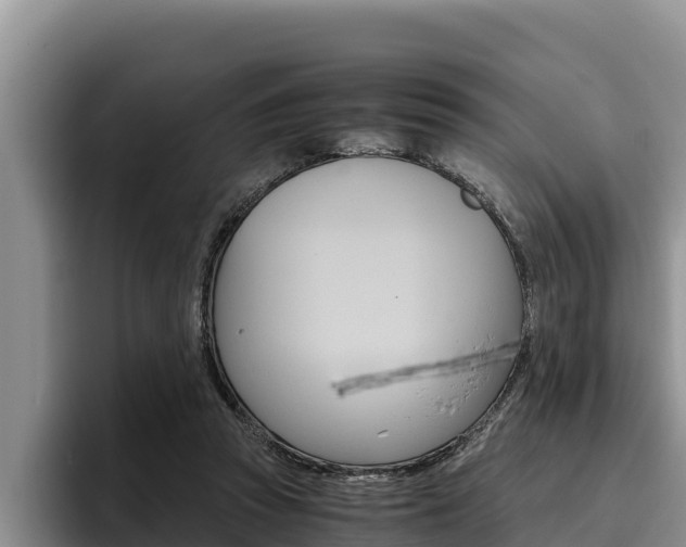 X0000096220353200801181034