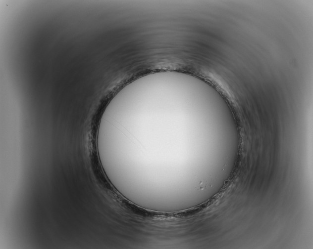 X0000096220354200801181034