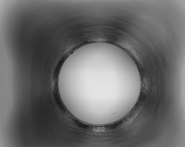 X0000096220355200801181034