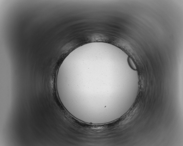 X0000096220357200801181034